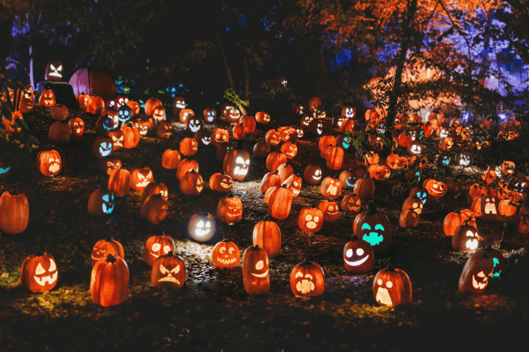 The Ultimate October Bucket List to Fully Enjoy Spooky Season