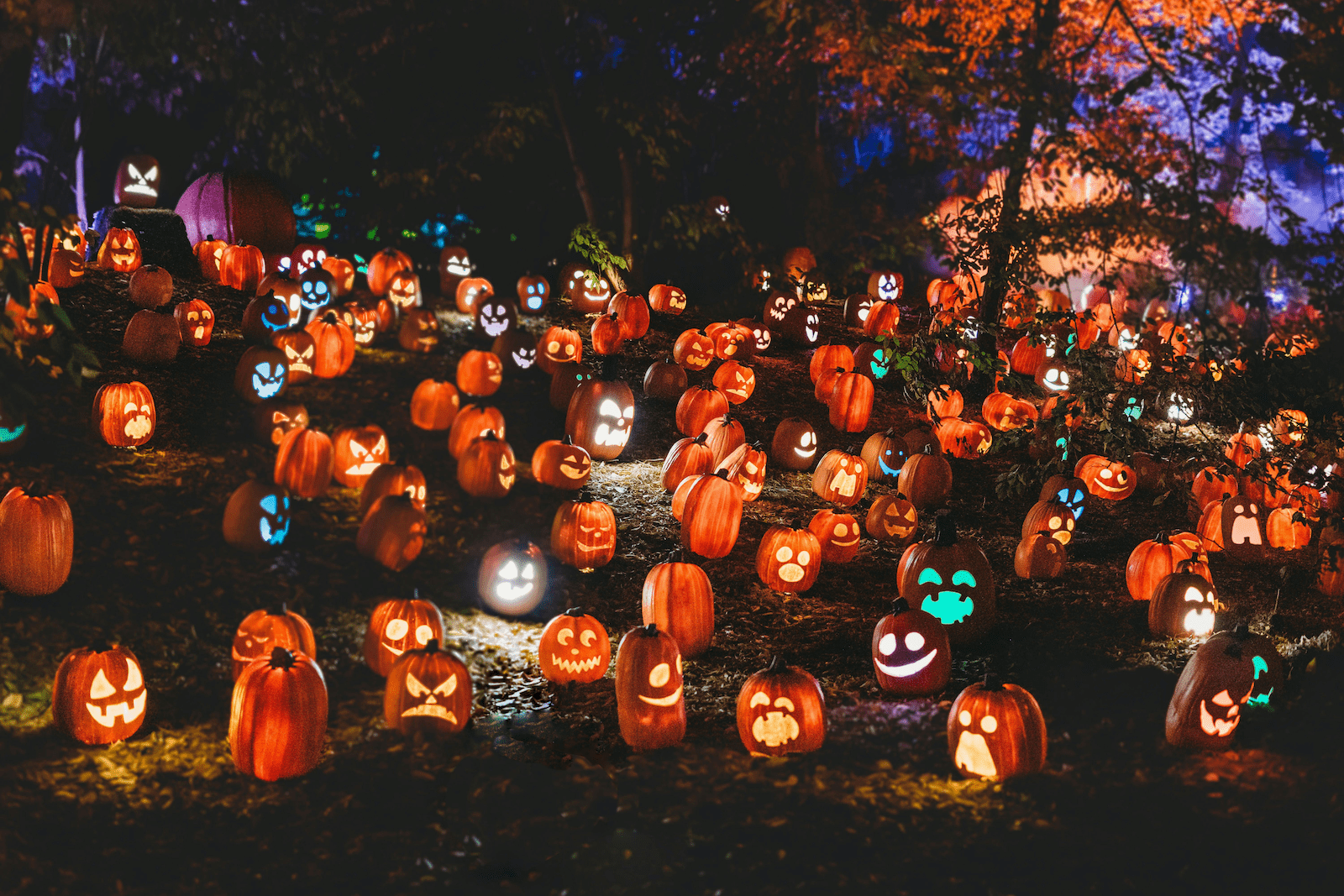 The Ultimate October Bucket List to Fully Enjoy Spooky Season